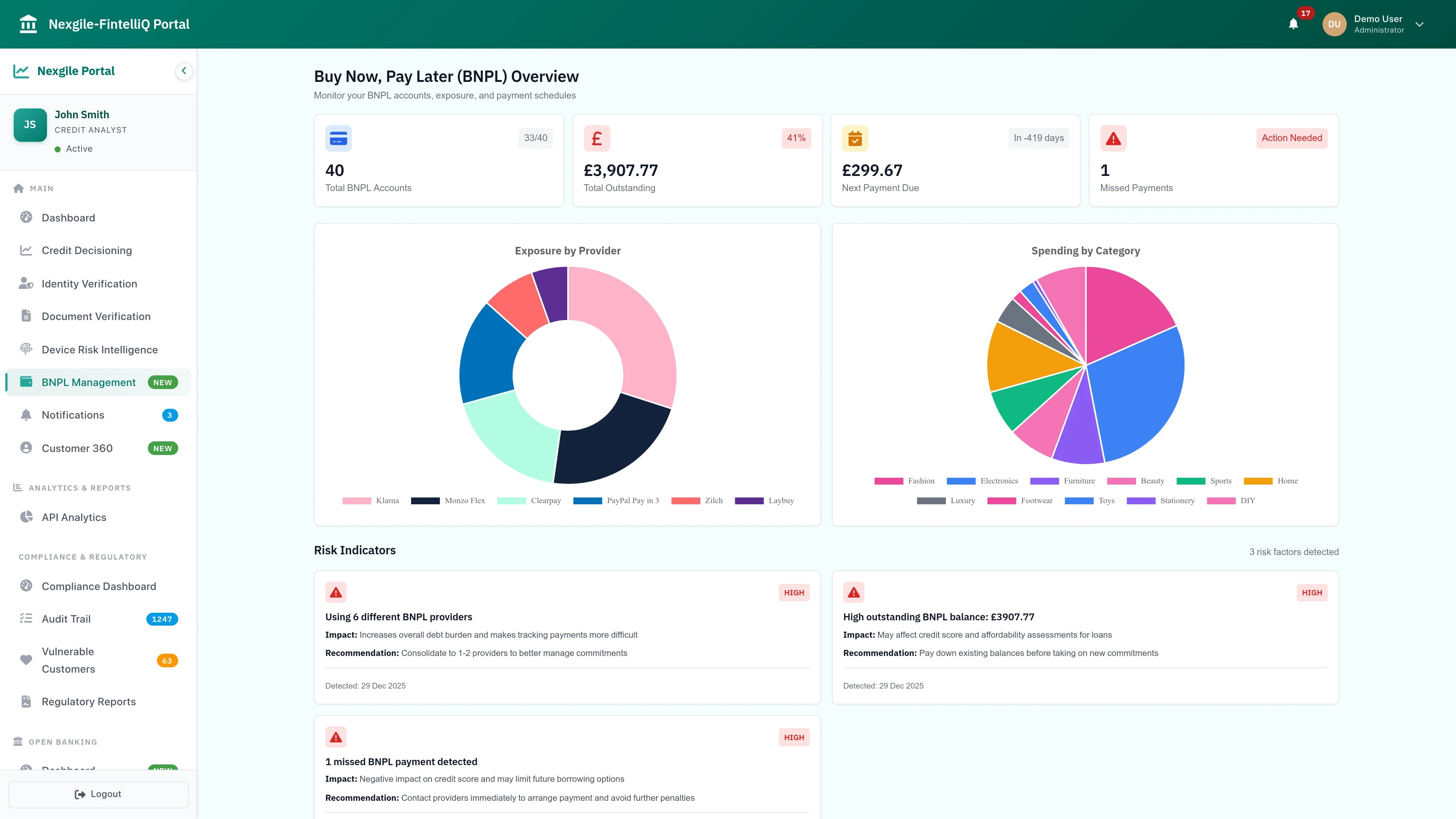BNPL Dashboard - Comprehensive view of Buy Now Pay Later accounts and exposure